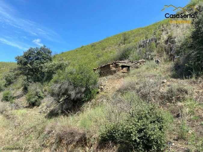 Terreno para Venda em Sertã Foto 9