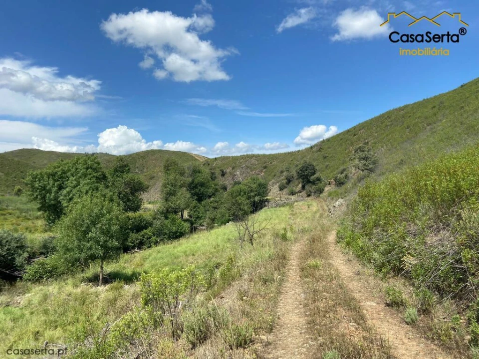 Terreno para Venda em Sertã Foto 1