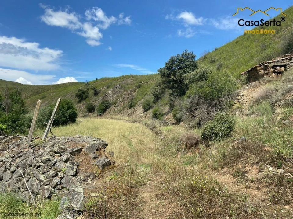 Terreno para Venda em Sertã Foto 3