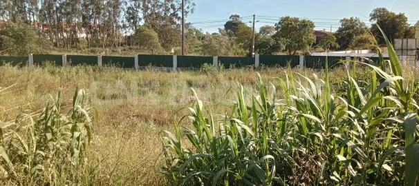Terreno para Venda em Ajuda