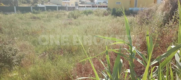 Terreno para Venda em Ajuda