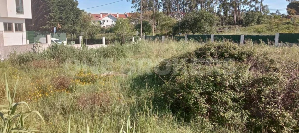 Terreno para Venda em Ajuda