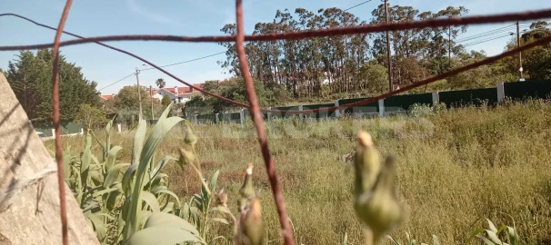 Terreno para Venda em Ajuda