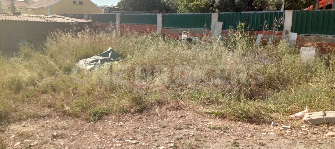 Terreno para Venda em Ajuda Foto 6