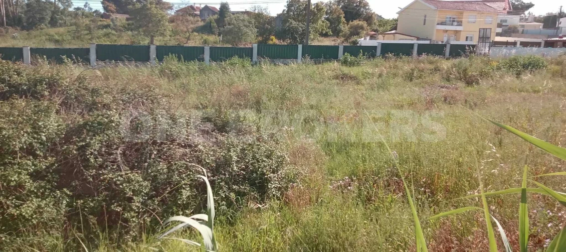 Terreno para Venda em Ajuda Foto 14