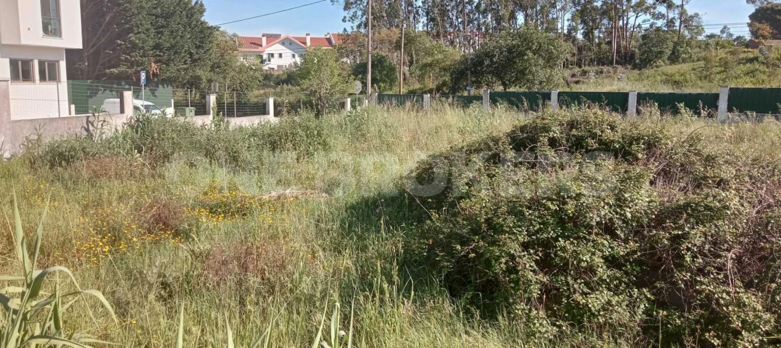 Terreno para Venda em Ajuda Foto 17