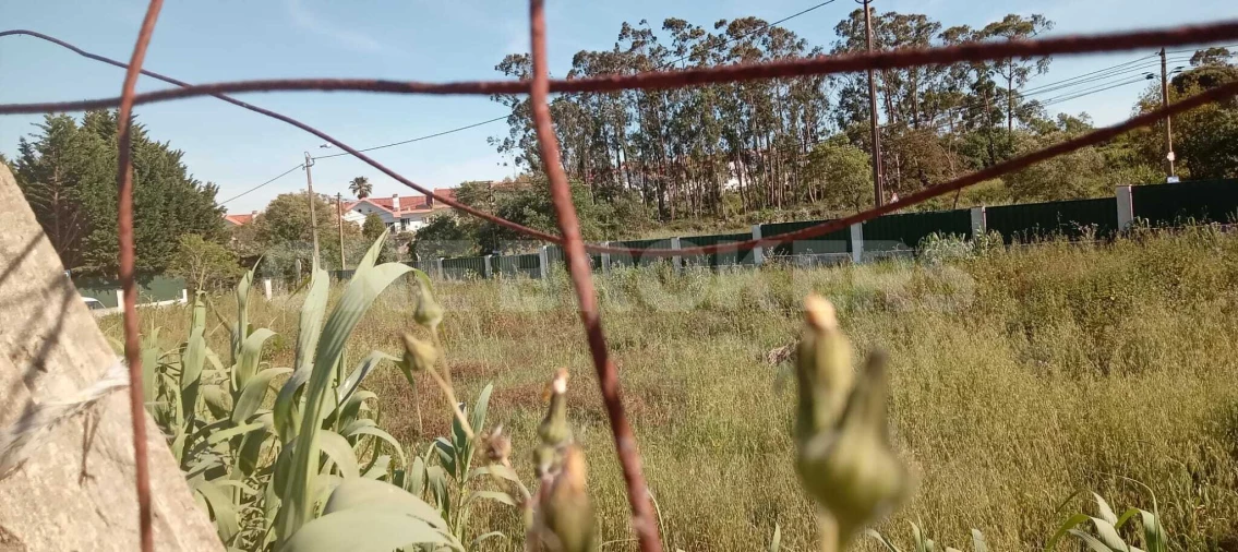 Terreno para Venda em Ajuda Foto 12
