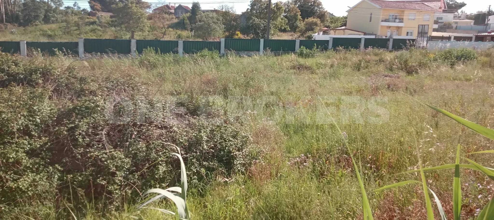 Terreno para Venda em Ajuda Foto 14