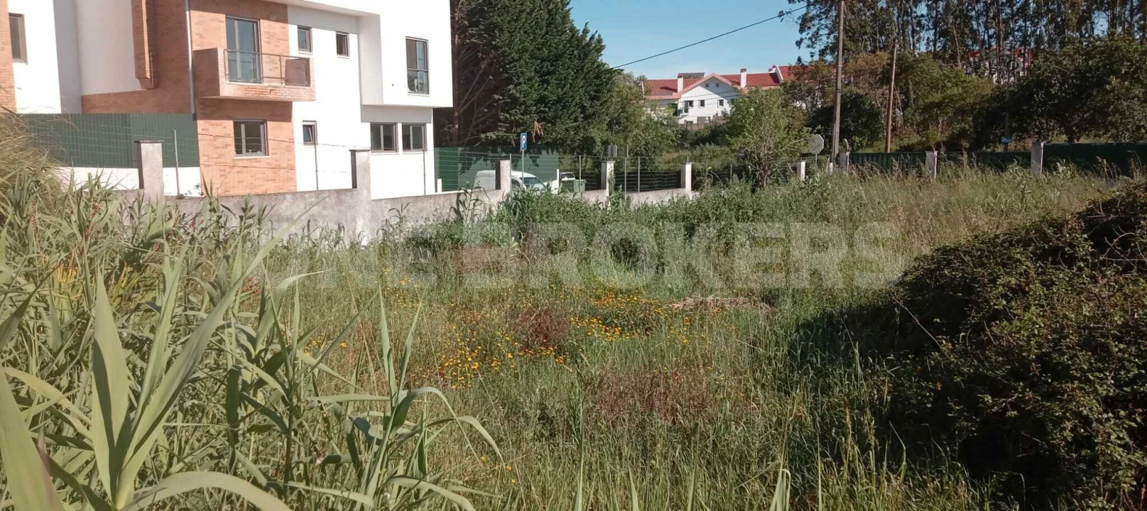 Terreno para Venda em Ajuda Foto 15