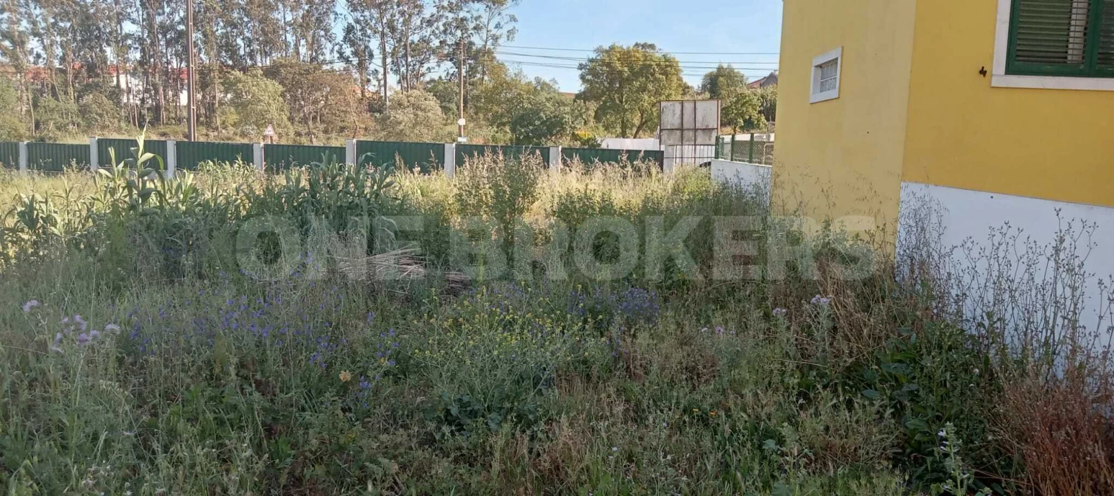 Terreno para Venda em Ajuda Foto 20