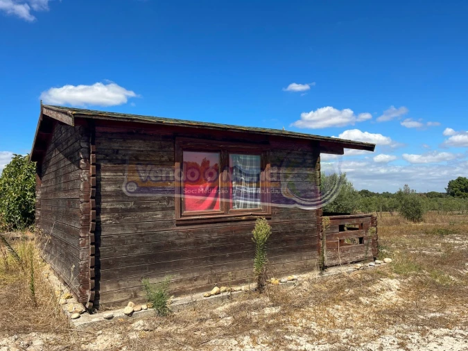 Terreno para Venda em Salvaterra de Magos e Foros de Salvaterra Foto 6