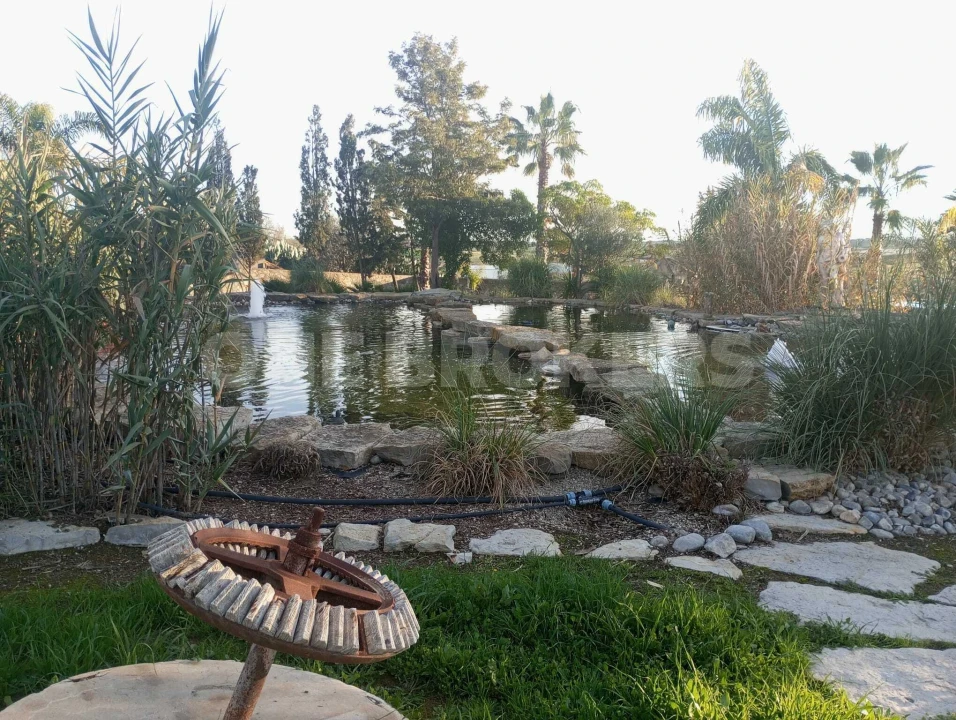 Terreno para Venda em Porches Foto 15