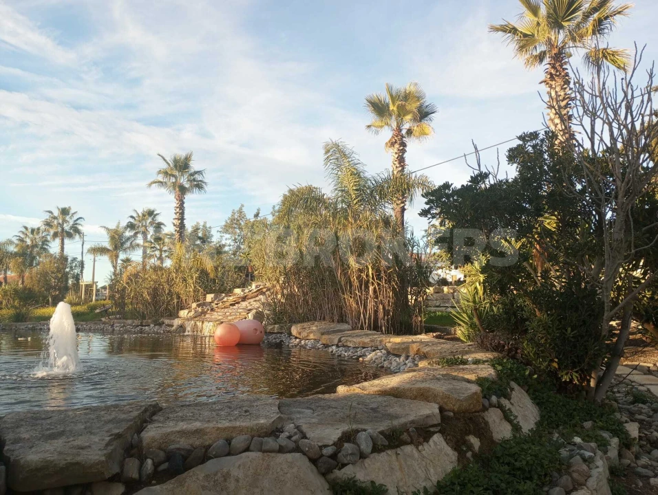 Terreno para Venda em Porches Foto 9