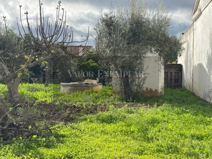 Terreno para Venda em Ermidas-Sado Foto 4