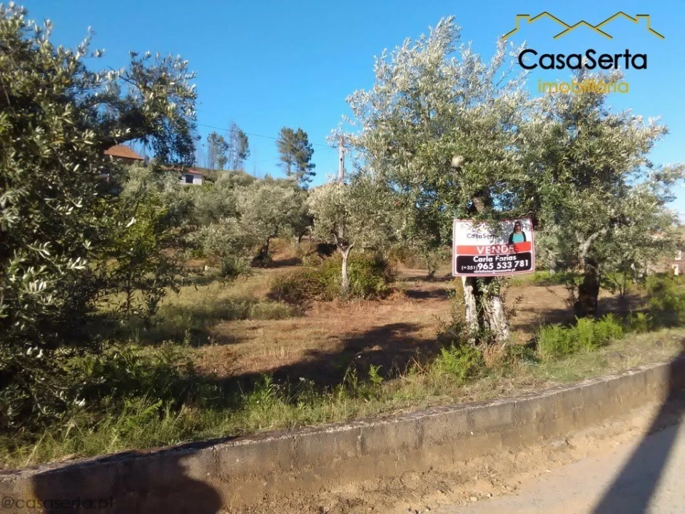 Terreno para Venda em Proença-A-Nova e Peral Foto 1