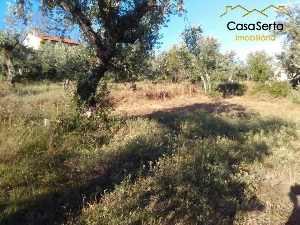 Terreno para Venda em Proença-A-Nova e Peral Foto 2