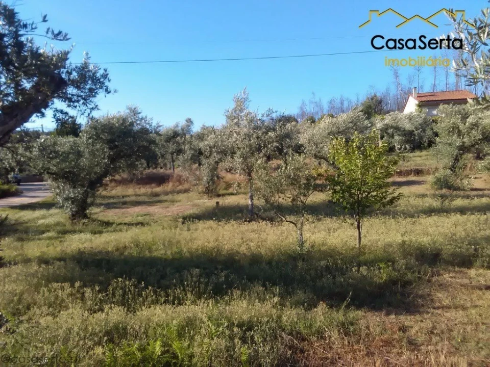 Terreno para Venda em Proença-A-Nova e Peral Foto 7