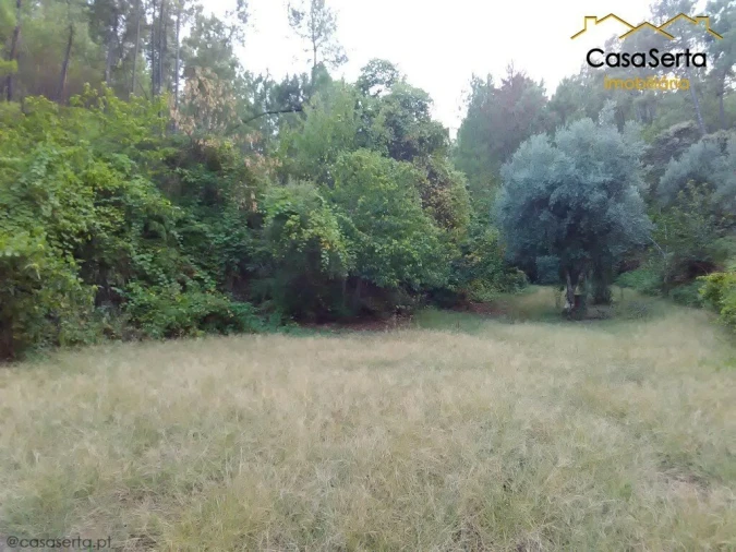 Terreno para Venda em Proença-A-Nova e Peral Foto 2
