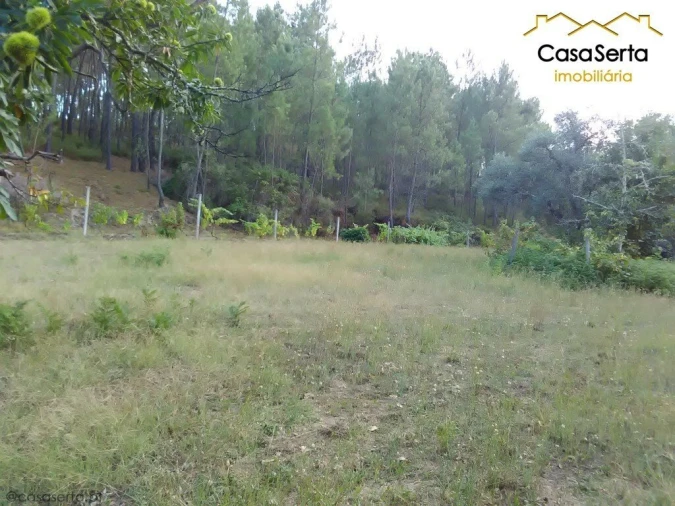Terreno para Venda em Proença-A-Nova e Peral Foto 7