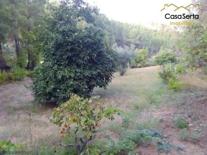 Terreno para Venda em Proença-A-Nova e Peral