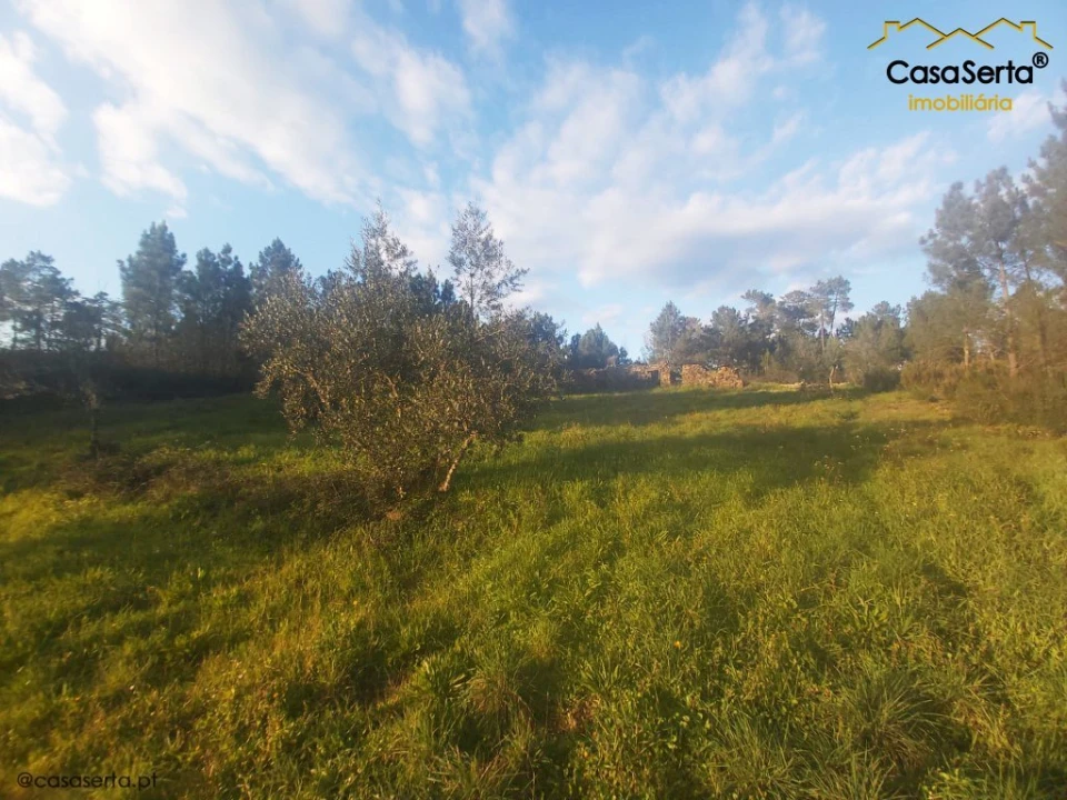 Terreno para Venda em Fundada Foto 5