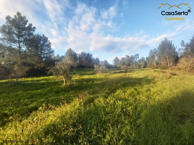 Terreno para Venda em Fundada Foto 4