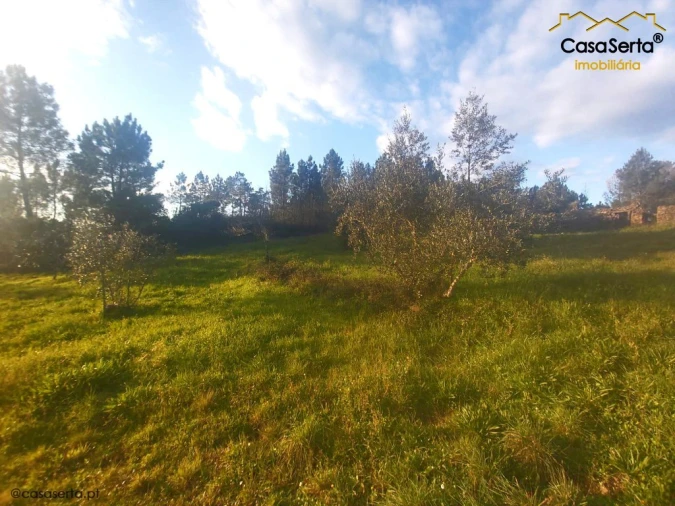 Terreno para Venda em Fundada Foto 6