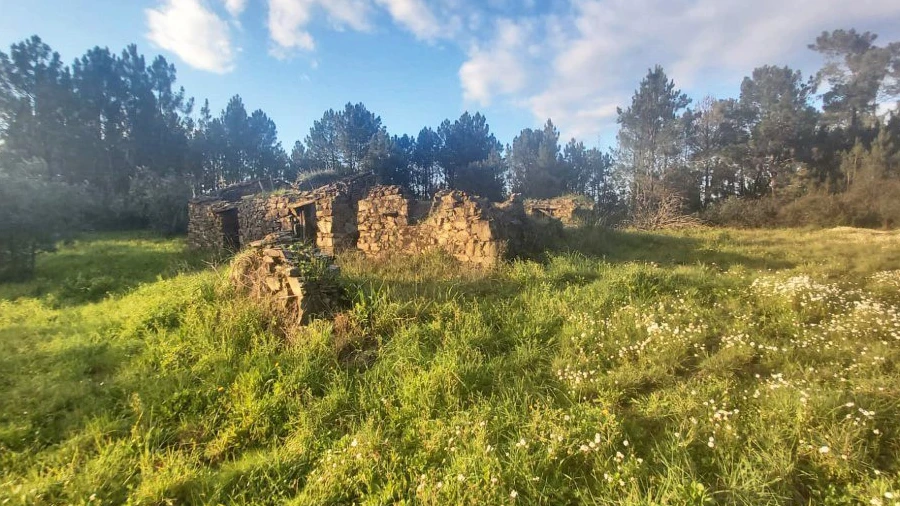 Terreno para Venda em Fundada