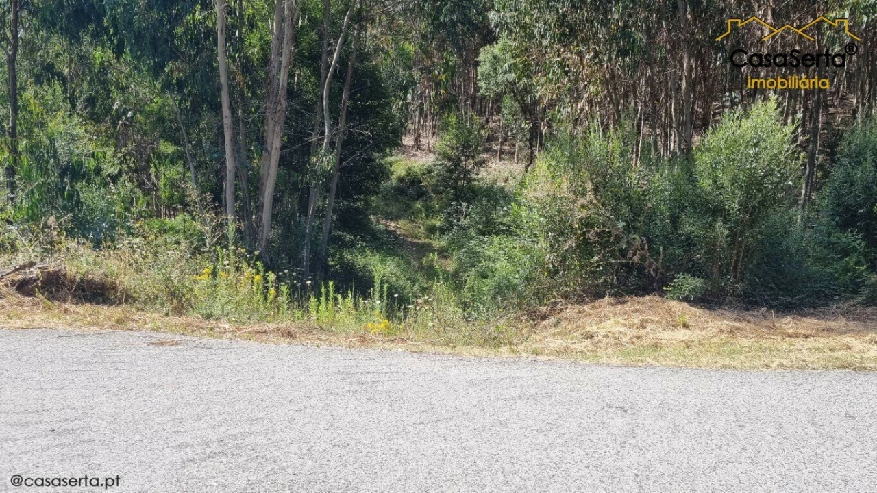 Terreno para Venda em Graça Foto 9