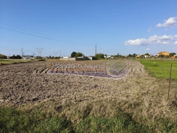 Terreno para Venda em Samora Correia