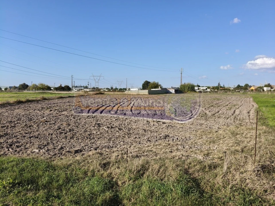 Terreno para Venda em Samora Correia Foto 9
