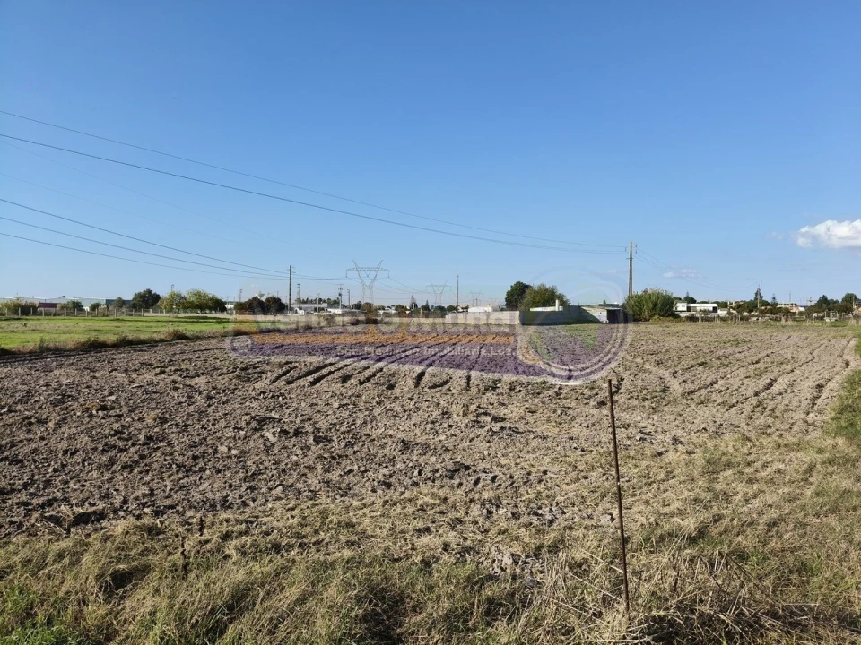 Terreno para Venda em Samora Correia Foto 16