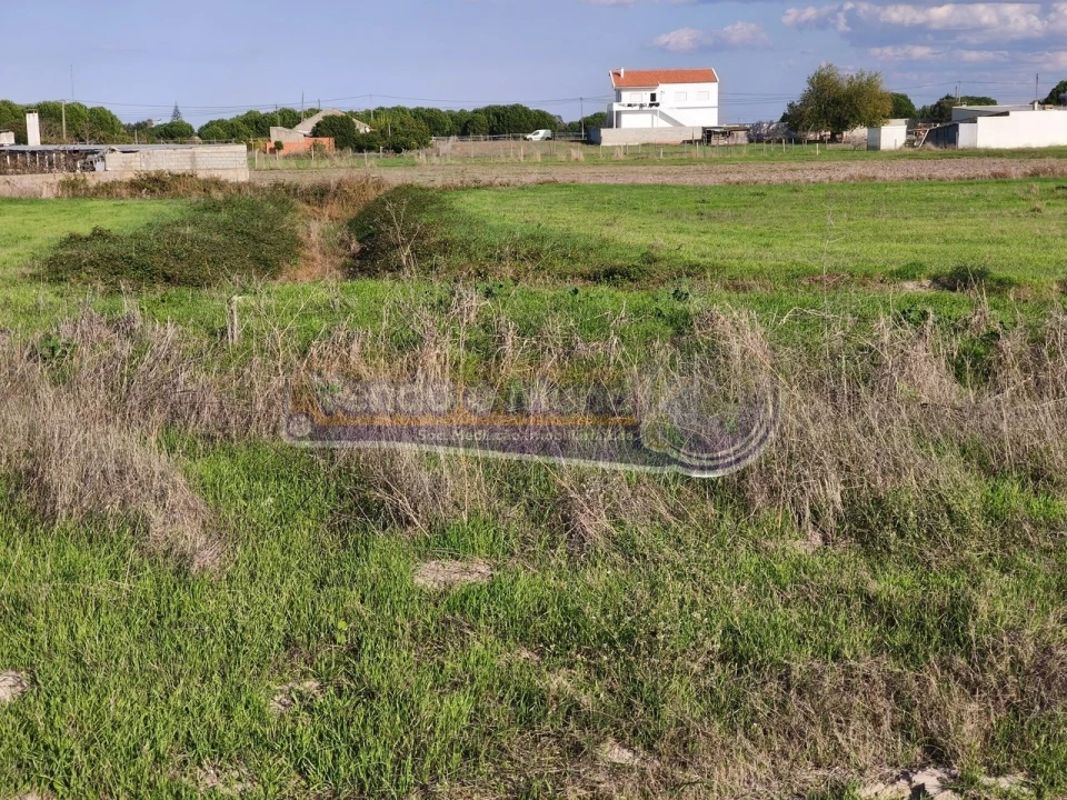 Terreno para Venda em Samora Correia Foto 6