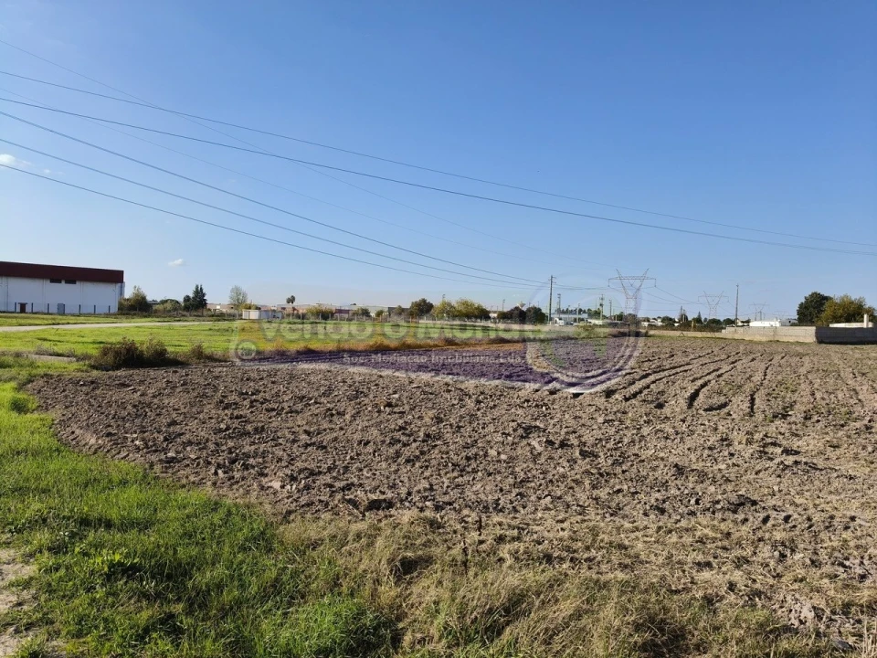 Terreno para Venda em Samora Correia Foto 17