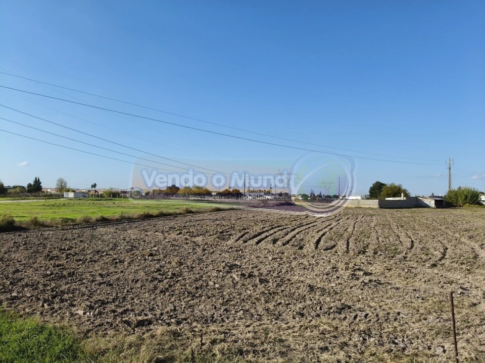 Terreno para Venda em Samora Correia Foto 18