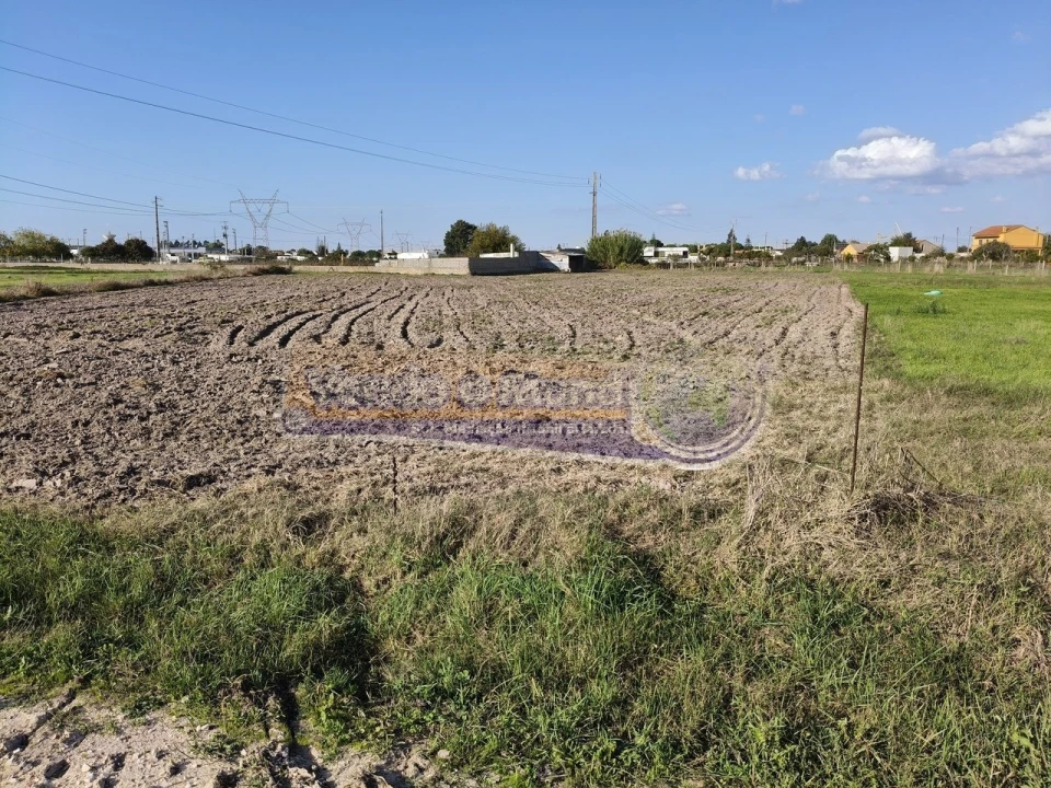 Terreno para Venda em Samora Correia Foto 10