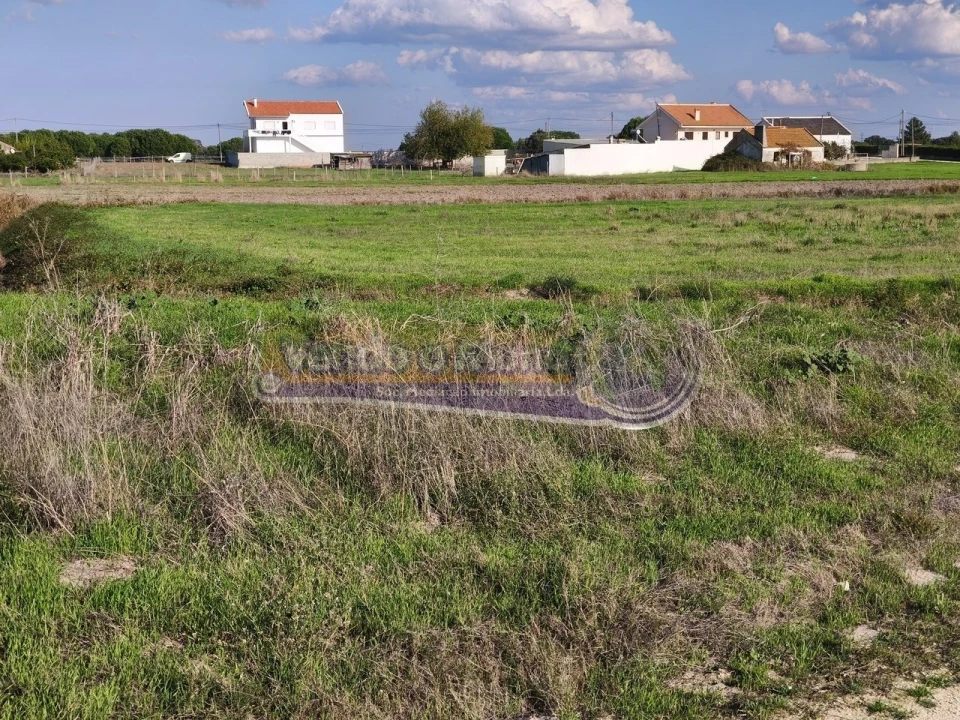 Terreno para Venda em Samora Correia Foto 5