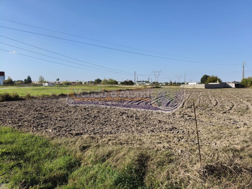 Terreno para Venda em Samora Correia Foto 12