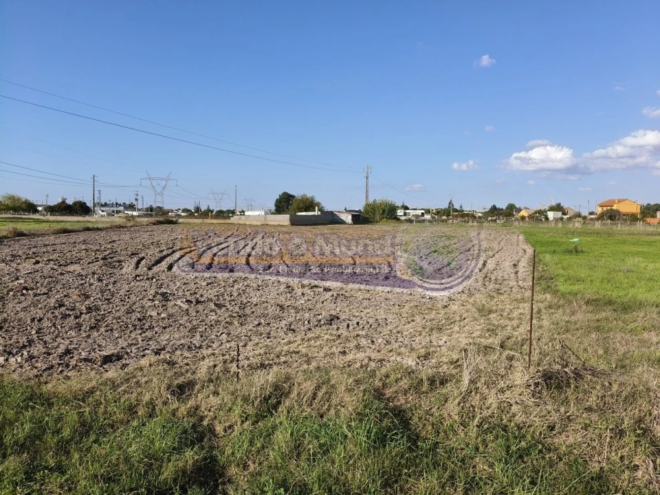 Terreno para Venda em Samora Correia Foto 11