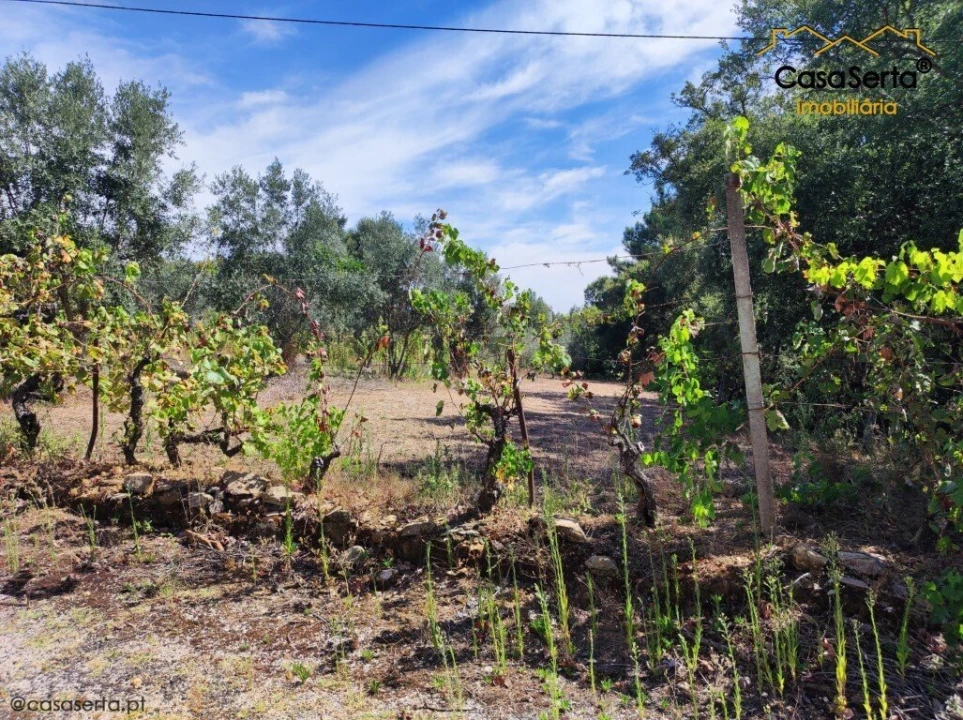 Terreno para Venda em Cabeçudo Foto 1