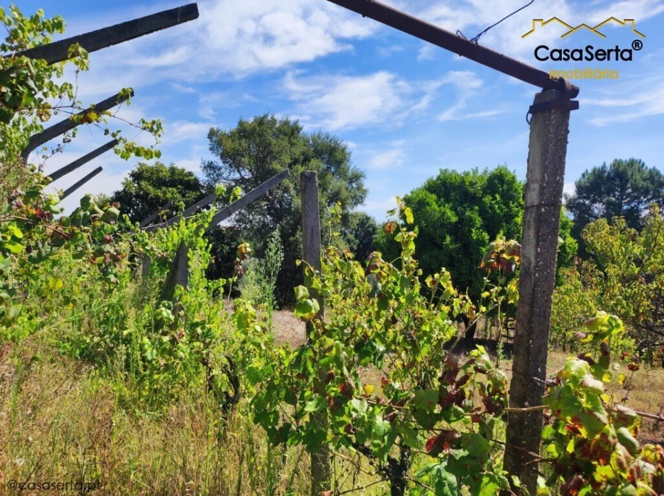 Terreno para Venda em Cabeçudo Foto 3