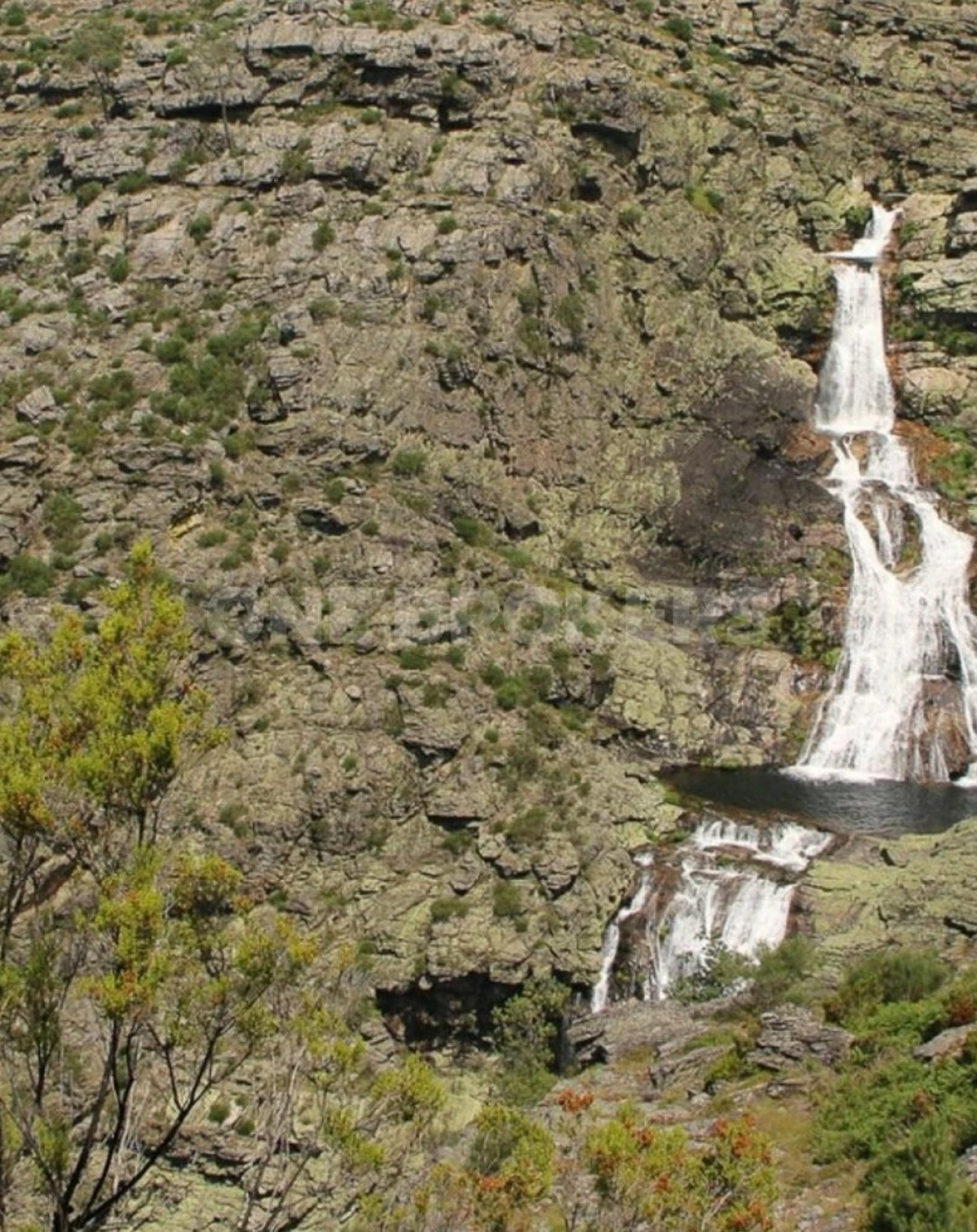 Terreno para Venda em Vilar de Ferreiros Foto 1