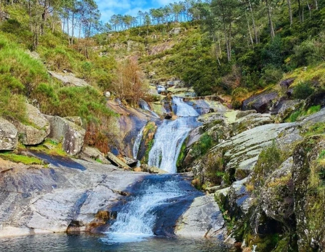 Terreno para Venda em Vilar de Ferreiros Foto 4