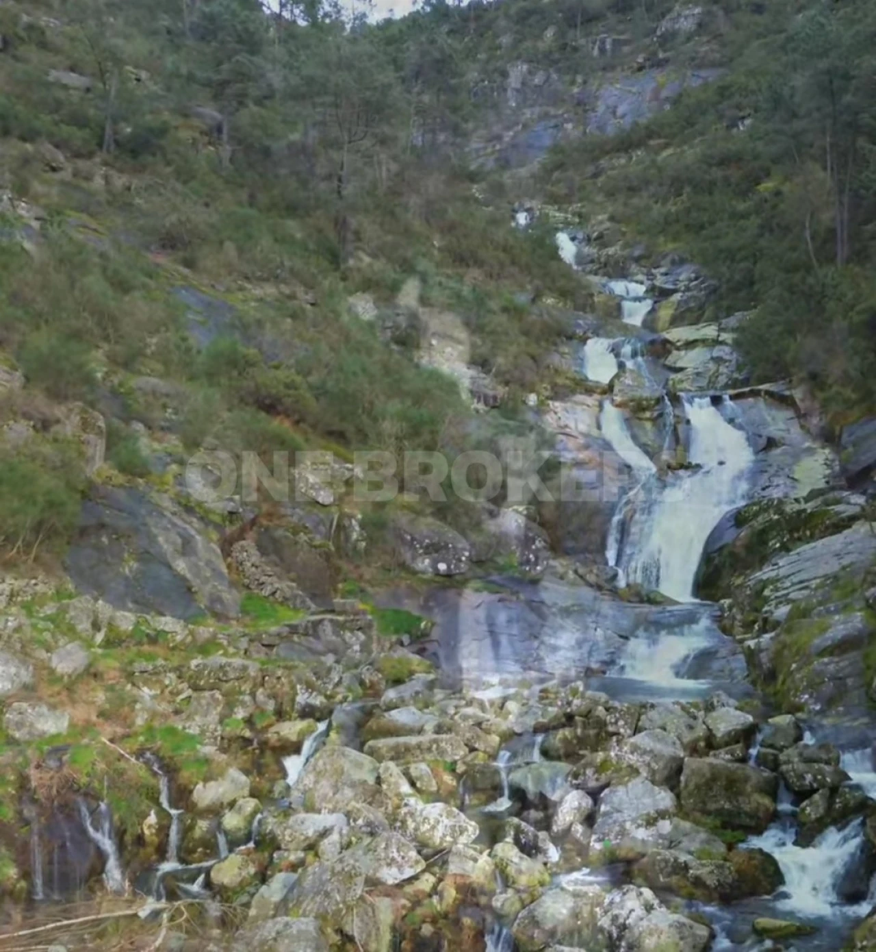 Terreno para Venda em Vilar de Ferreiros Foto 8