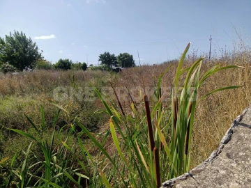 Terreno para Venda em Marinhais