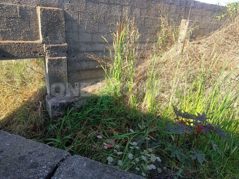 Terreno para Venda em Marinhais Foto 13