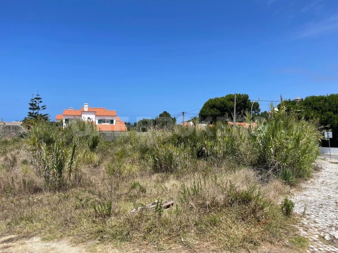 Terreno para Venda em São João das Lampas e Terrugem Foto 6