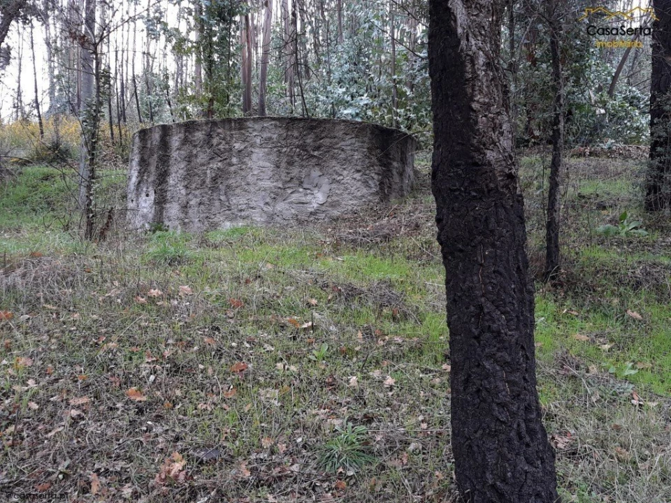 Terreno para Venda em Castelo Foto 10