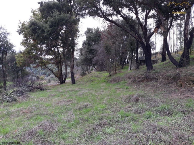 Terreno para Venda em Castelo Foto 8