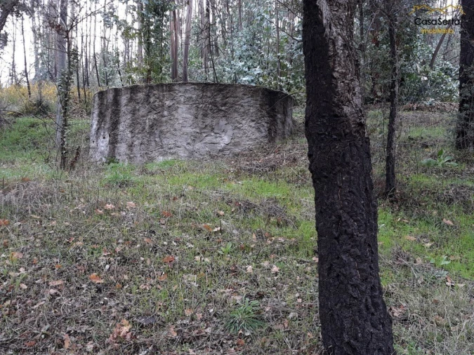 Terreno para Venda em Castelo Foto 10